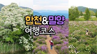 합천&밀양 숨은 명소! 국내 여행지 추천