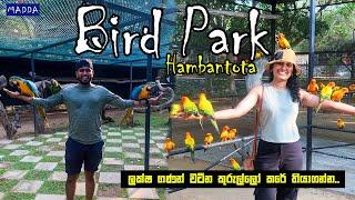 Feeding Macaws | Hambantota Birds Park ‍| ලක්ෂ ගණන් වටින කුරුල්ලෝ එක්ක| MADDA Travel Vlog #18 ල