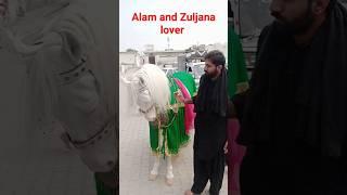 zuljanah murtajiz badshah|balkasr bikhariyan|zari mola Abbas as