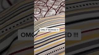Cat Calling Sounds