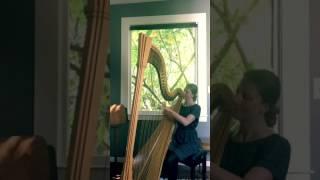 Everlong on Harp