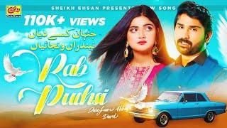 Rab Puchsi | Jinhan Kise Diyan Nendran Wanjaiyan | Zaigham Abbas Dard | Official Video Song 2024