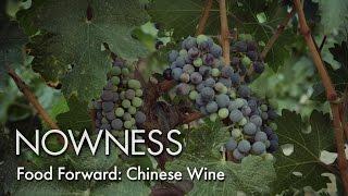 Food Forward: Chinese Wine