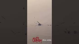 kashi Biswanath Vanaras....Varanasi Uttar Pradesh