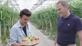 Stoffels Tomaten -  Loïc zot van koken