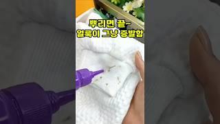 구매링크는 프로필 클릭!  상품번호 164번 매직 얼룩제거제 #꿀템 #생활꿀템 #신박한제품 #유용한제품