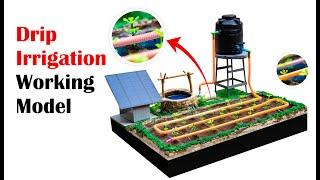 drip irrigation system working model for science fair