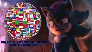 Sonic the Hedgehog 3-You're a Colorful Bunch Multilanguage