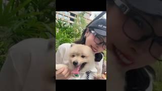 Faye with Sunny  #fayemalisorn #faye #fyp #love #shorts #fayeyoko #yoko #fayeperaya #fy