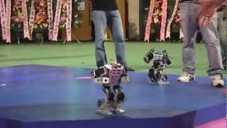 Korea Robot Fighting Festival 2012 Final Battle - COOL!!!