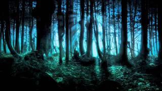 Frederic Chopin - Mysterious Forest