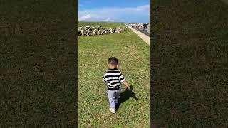 尽情的玩耍吧️#小孩子的快乐总是那么简单 #快乐的童年把最美好的时光都给你 #带娃旅行 #乌兰布统 #随手发一个小日常