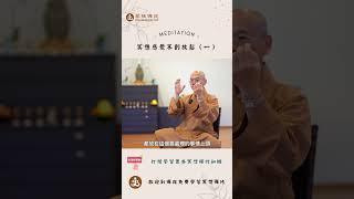 冥想感覺不到放鬆怎麼辦呢 (一)? |  訂閱免費學習冥想| 歡迎線下來菩提禪苑免費學習冥想| What is meditation? Learn meditation #冥想 #meditation
