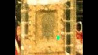 Veronica Veil Solves Shroud of Turin Mystery