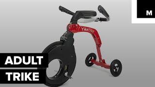 This Electric Bike Is Basically an Adult Tricycle