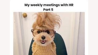 My weekly meetings with HR part 5!