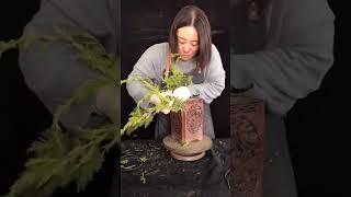 Artistic bonsai pruning techniques! #15 #lovebonsai #bonsai #bonsaiart #bonsaitree