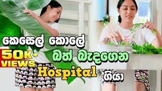 කෙසෙල් කොලේ බත් උයාගෙන hospital ගියා| Banana leaf/ Piumi srinayaka