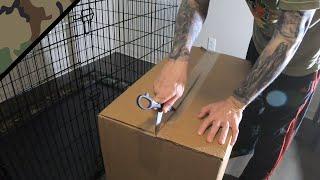 Unboxing Wire Crate Frisco XXL Great Dane Size