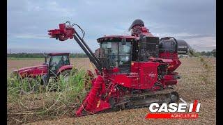 First Day With a New Case IH 9900 Cane Harvester 4K