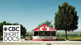 The Ketchup War: How Heinz & French’s turned the ‘Tomato Capital of Canada’ into a battleground