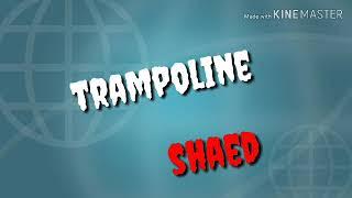 SHAED - Trampoline (lyrics video)