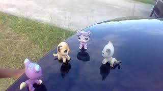 lps the cute girl ep1 the fire start