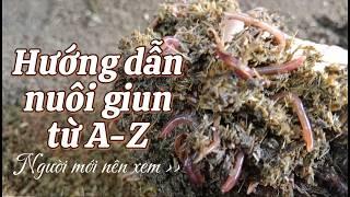 Hướng dẫn nuôi giun chi tiết từ A-Z, Ai đang tìm hiểu nuôi giun không nên bỏ qua video này