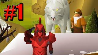 The Start Of A (Hopefully) Long Journey | HCIM #1