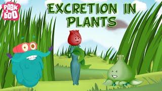 Excretion In Plants | The Dr. Binocs Show | Learn Videos For Kids