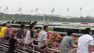 Singapore Turf Club 新加坡赛马会