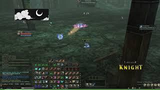 Lineage 2 Knight PvP anonymous