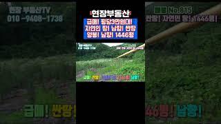 산골 자연인 땅 양봉 남향 나혼자 산다 #자연인 땅 #싼땅 #현장부동산 #가대리