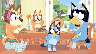 Familiemøde | Bluey På Dansk