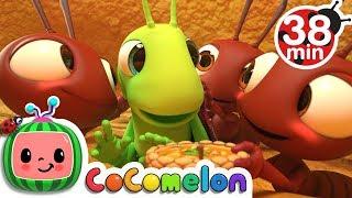 The Ant and the Grasshopper + More Nursery Rhymes & Kids Songs - CoComelon