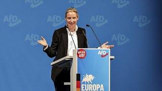 Die radikalsten der Radikalen bilden neue EU-Fraktion - Angeführt von der AfD