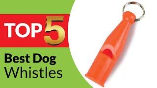 Top 5 Best Dog Whistles Review of 2025 [Buying Guide]