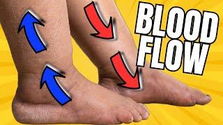 How To Improve Leg Circulation Up To 74%; Complete Details