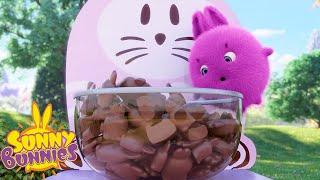 SUNNY BUNNIES - Chocolate Treats | Season 5 | Cartoons for Children