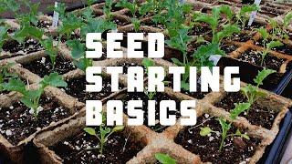 Starting a Garden: Seed Starting Basics