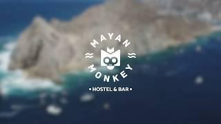 Mayan Monkey: The best hostel in Cabo San Lucas 