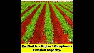 Red soil has higher Phosphorus fixation capacity