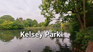 Wanderings in the rain: Kelsey Park and its many beautiful inhabitants