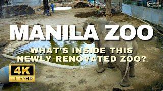 Manila Zoo 2022 Virtual Tour | Renovated to be World Class Zoo | 4K Virtual Walk Tour | Manila