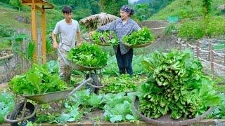 2 Year Living Off the Grid - Couple Survived 30 Days On FRESH Agricultural Products After A Disaster