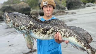 LINGCOD: Catch, Clean, n’ COOK! -Kayak Fishing- HOW TO CATCH LINGCOD and Rockfish