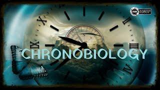 "CHRONOBIOLOGIA: NASZ ZEGAR ŻYCIA" [FULL HD] - FILM DOKUMENTALNY - LEKTOR PL [DDK KINO DOKUMENTALNE]