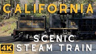 Ride on the Historic Mountain Sugar Pine Steam Train in Beautiful Yosemite! |Steam Train Railroad 4K