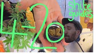 Shite Guide to 420 AMSTERDAM