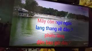 LK MÂY LANG THANG & NGỰA HOANG SC VỚI PHƯƠNG LOAN..